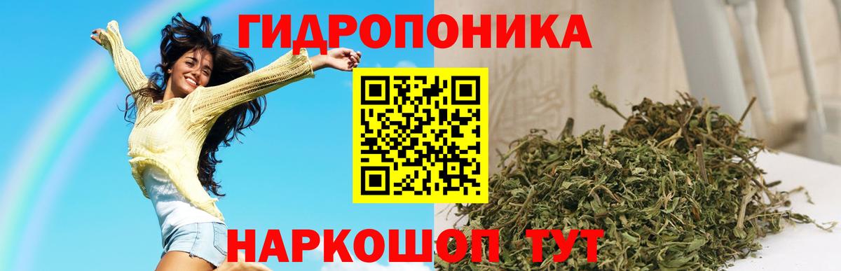 МАРИХУАНА SATIVA & INDICA  Вход с VPN  Артёмовский  Шишки марихуана OG Kush 
